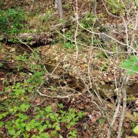 Ozarks Dream 40 images 4