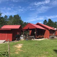 36 Acre Perry County MS Homestead Hunting Property for Sale images 3