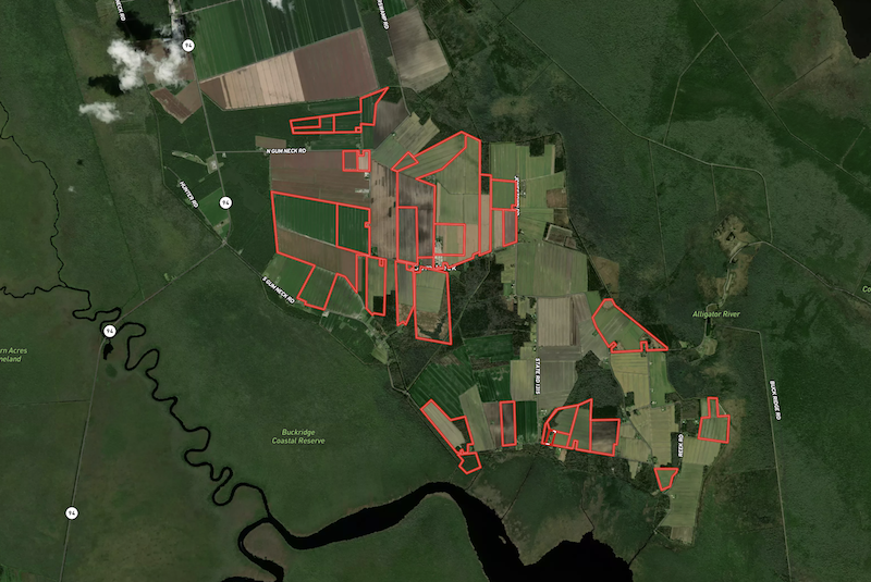 1548 Acre Farm For Sale in Tyrrell County NC featured image