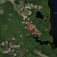 1548 Acre Farm For Sale in Tyrrell County NC images 2