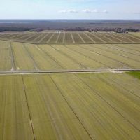 1548 Acre Farm For Sale in Tyrrell County NC images 4