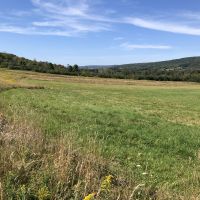 145 acres Hunting Land and Farm Fields in Angelica NY County Rd 2