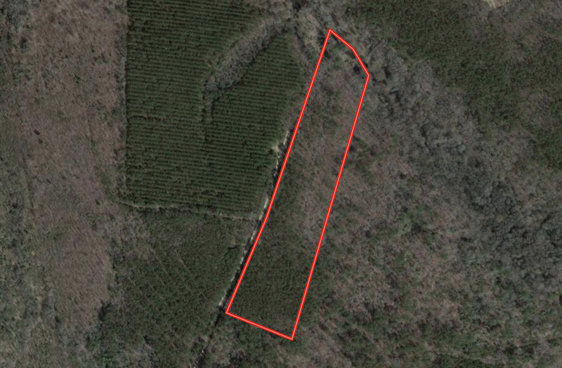 9.5 Acres of Hunting and Timberland For Sale in Bertie County NC