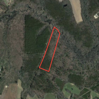 9.5 Acres of Hunting and Timberland For Sale in Bertie County NC images 2