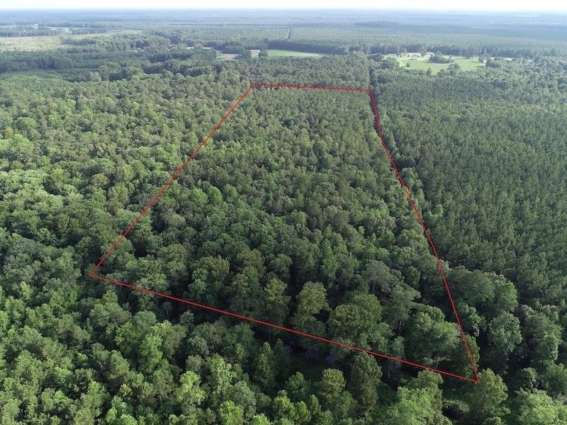 9.5 Acres of Hunting and Timberland For Sale in Bertie County NC