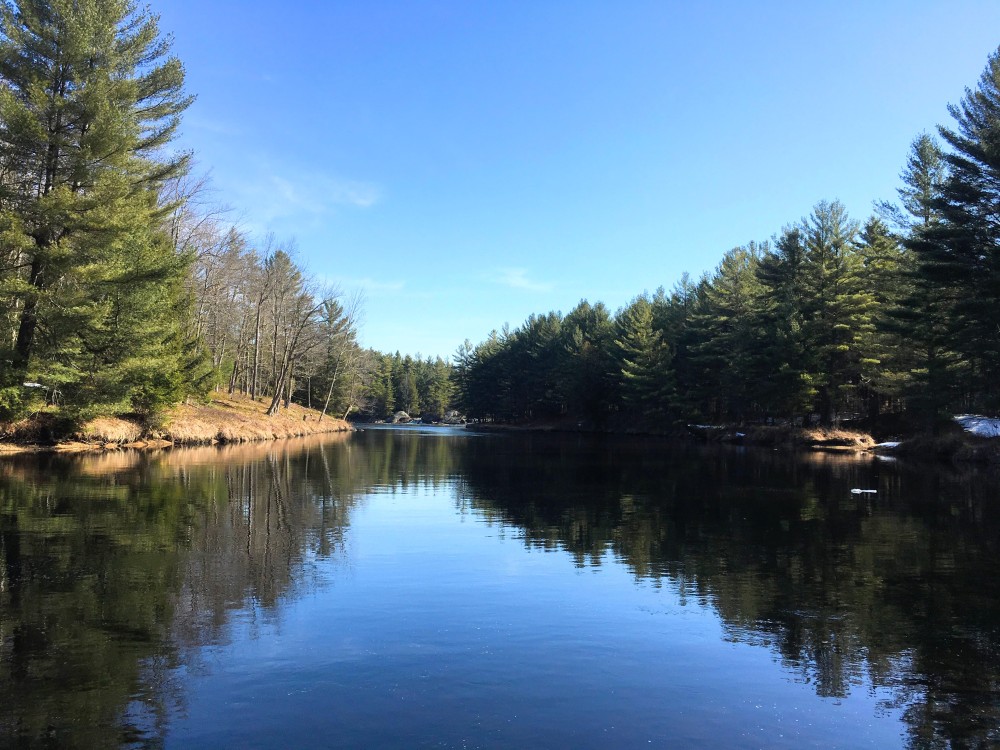 98 Acres Adirondack Waterfront in Fine NY featured image