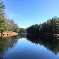 98 Acres Adirondack Waterfront in Fine NY