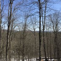 98 Acres Adirondack Waterfront in Fine NY images 3