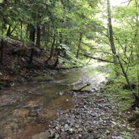 155 acres Timber in Guilford NY Junction Road
