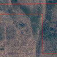 42 acres Hunting Land in Humphrey NY images 2