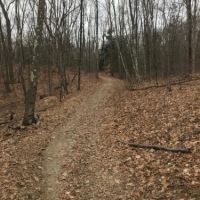 41 acres Hyde Park NY 42 Willow Cross Road images 2