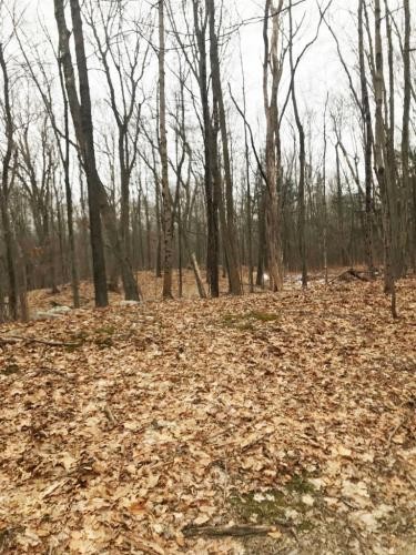 41 acres Hyde Park NY 42 Willow Cross Road featured image