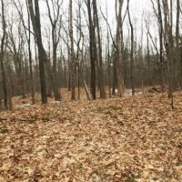 41 acres Hyde Park NY 42 Willow Cross Road