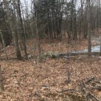 41 acres Hyde Park NY 42 Willow Cross Road images 4