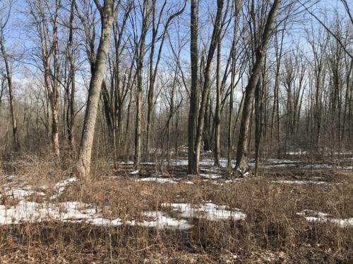 21 acres Lenox NY near Oneida Lake Beach featured image