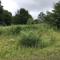 5 acres Catskill Mountain Views Stamford NY images 4