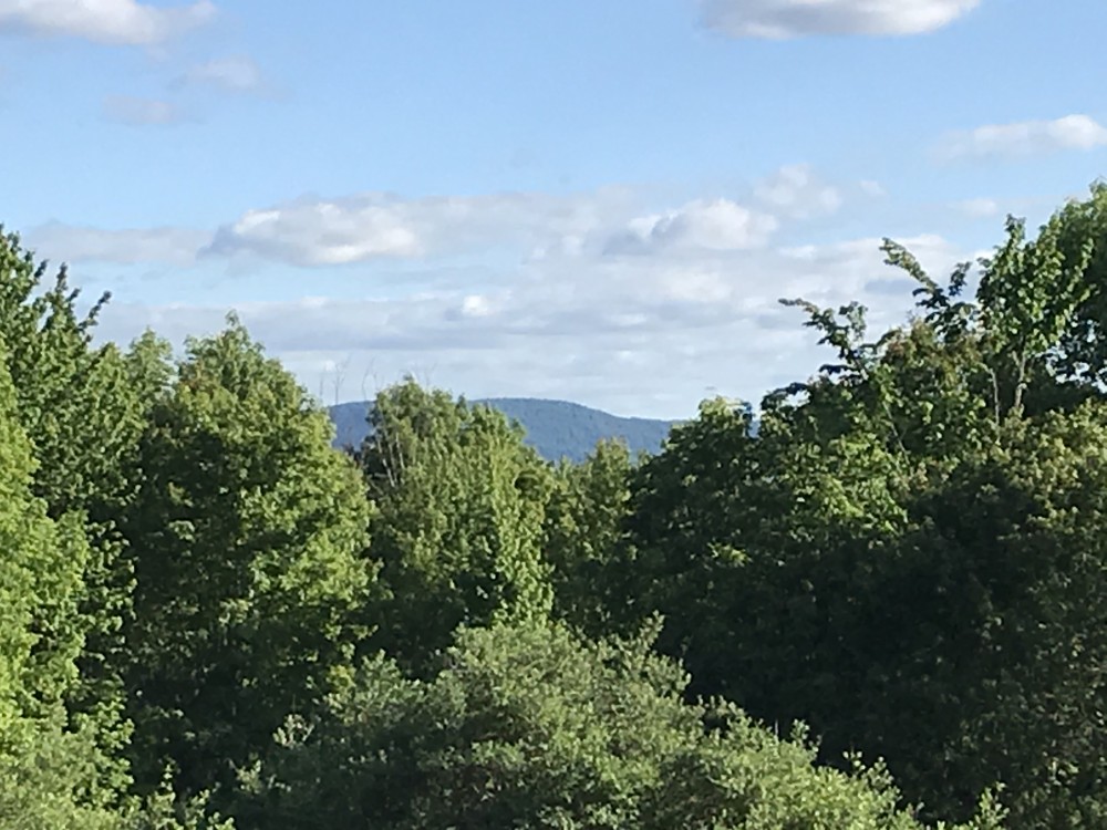 5 acres Catskill Mountain Views Stamford NY featured image