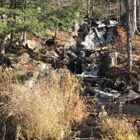 50 acres Timberland in Fine NY near the Oswegatchie River images 4