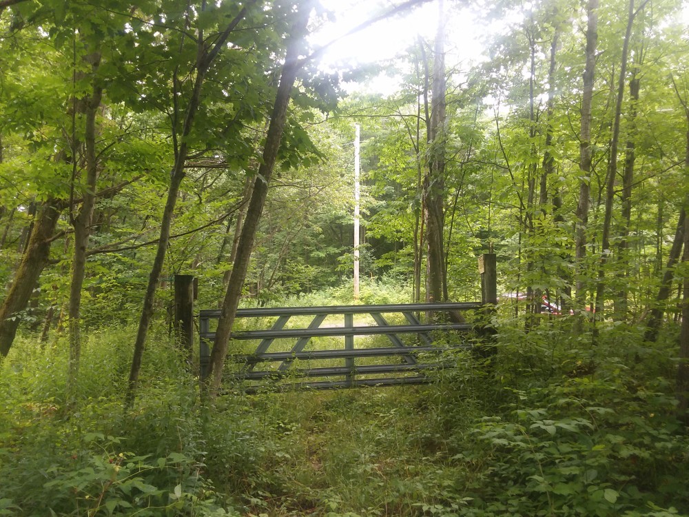 45 acres Wooded Building Tract Georgetown NY featured image