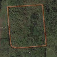 45 acres Wooded Building Tract Georgetown NY images 4
