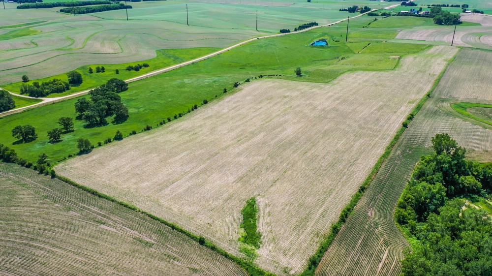 80 Acres Wabasha county MN Hunting Land for Sale HuntingLocator