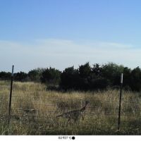 80 acres for sale Southern hill country images 3