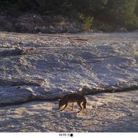 80 acres for sale Southern hill country images 2