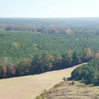 29-060g-highway-170-plantation