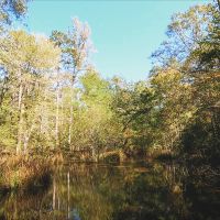 29-060g-highway-170-plantation images 2