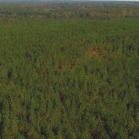 29-060g-highway-170-plantation images 3