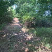 29-060g-highway-170-plantation images 4