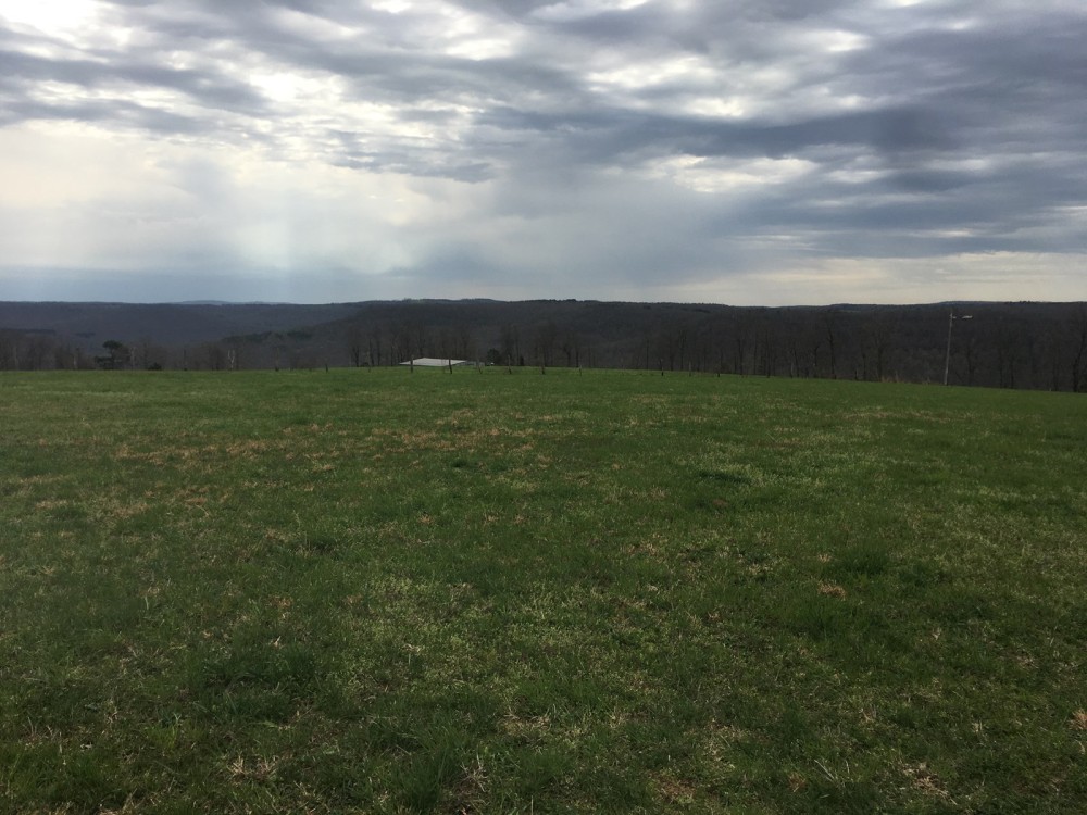 30 Acres For Sale in Searcy Co featured image