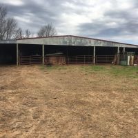 30 Acres For Sale in Searcy Co images 4