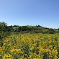 50 acres with Pond and Country views Plainfield NY