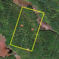 122 acres Timberland and Recreational Land in Taberg NY Sullivan Road images 3