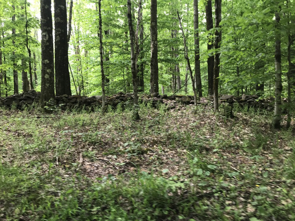 122 acres Timberland and Recreational Land in Taberg NY Sullivan Road featured image