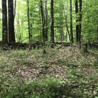 122 acres Timberland and Recreational Land in Taberg NY Sullivan Road