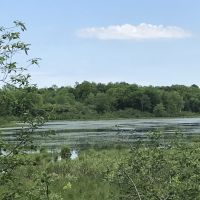 122 acres Timberland and Recreational Land in Taberg NY Sullivan Road images 4