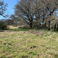48 acres with electric for sale near menard tx images 4
