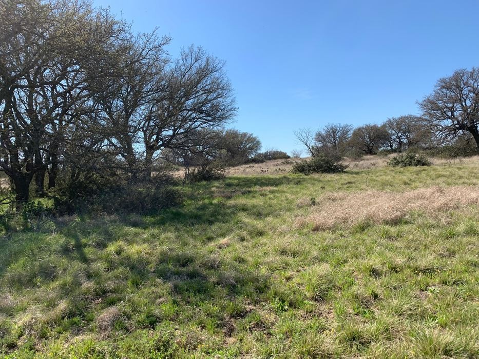 48 acres with electric for sale near menard tx featured image