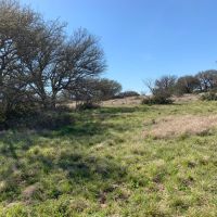 48 acres with electric for sale near menard tx