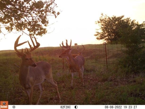 Comanche Ranch 800 featured image