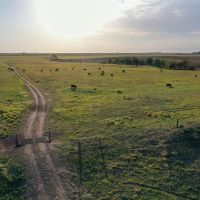Comanche Ranch 800 images 2