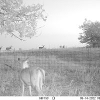 Comanche Ranch 800 images 3