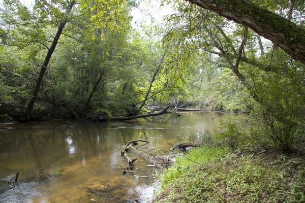 34.08 Acres of Hunting Fishing and Recreational Land featured image