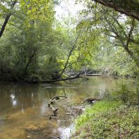 34.08 Acres of Hunting Fishing and Recreational Land images 1