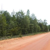 34.08 Acres of Hunting Fishing and Recreational Land images 2