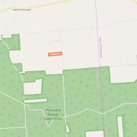 6 acres Hunting Camp Site Pharsalia NY images 2