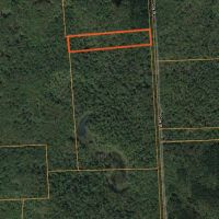 6 acres Hunting Camp Site Pharsalia NY images 3