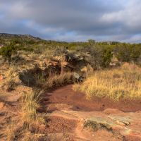 McFarland Ranch images 2